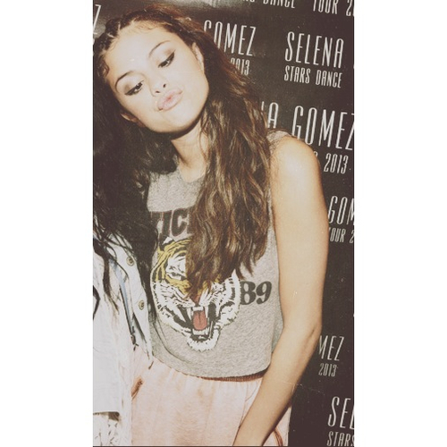 500x500 Selena Gomez Icon For Twitter White Border Credit