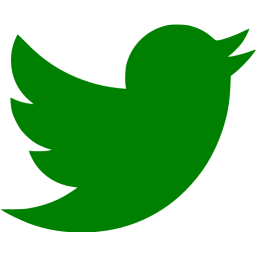 256x256 Green Twitter Icon