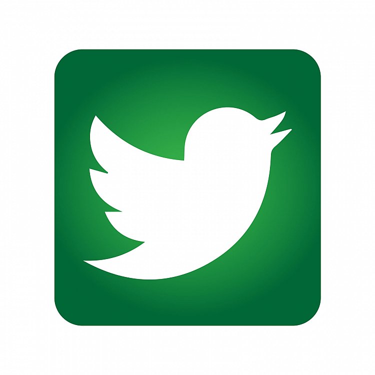 750x750 Icon Showing Twitter In The Color Green