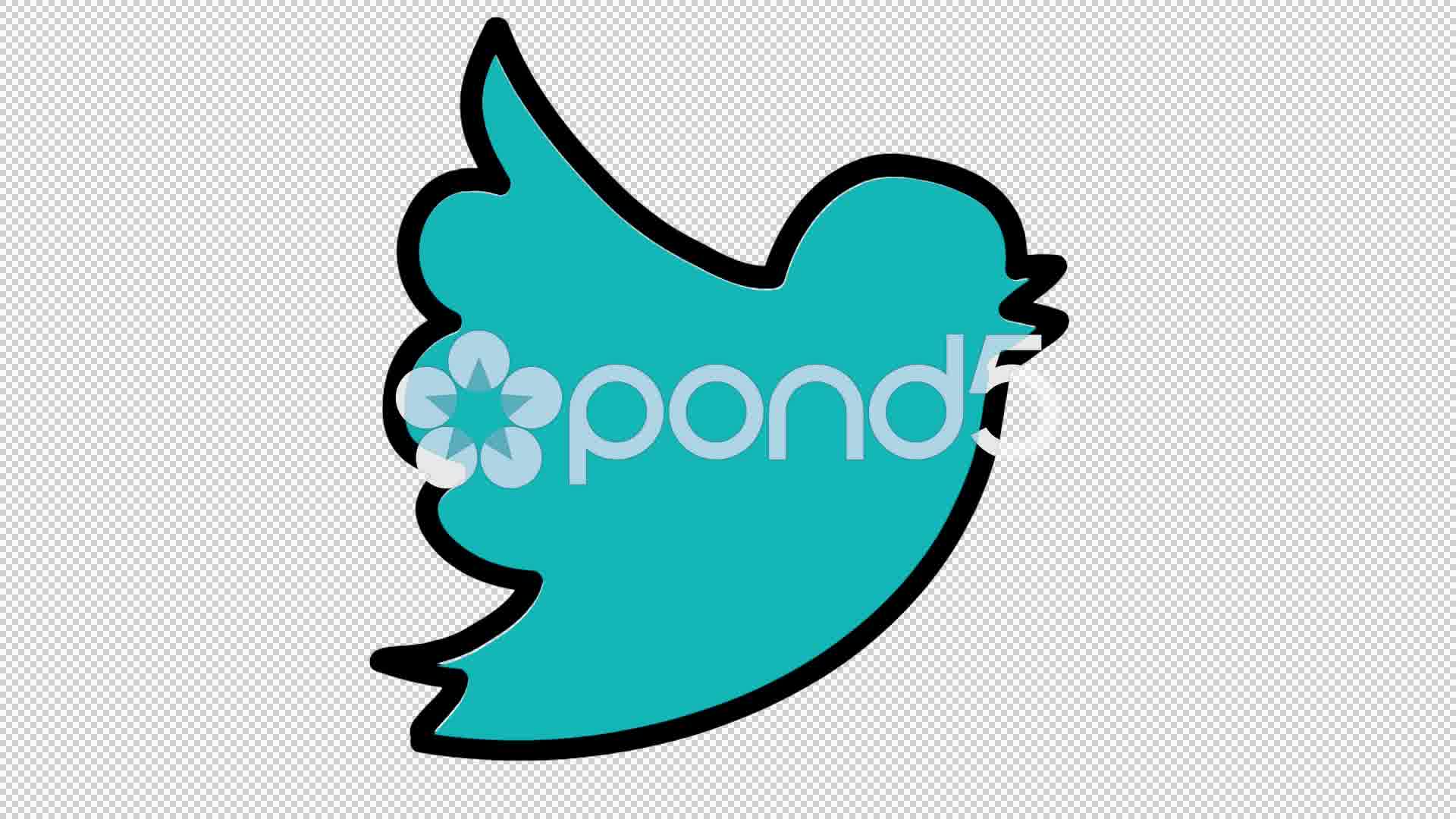 1920x1080 Twitter Hand Drawn Color Icon Animation With Transparent