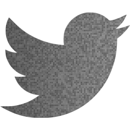 256x256 Custom Color Twitter Icon