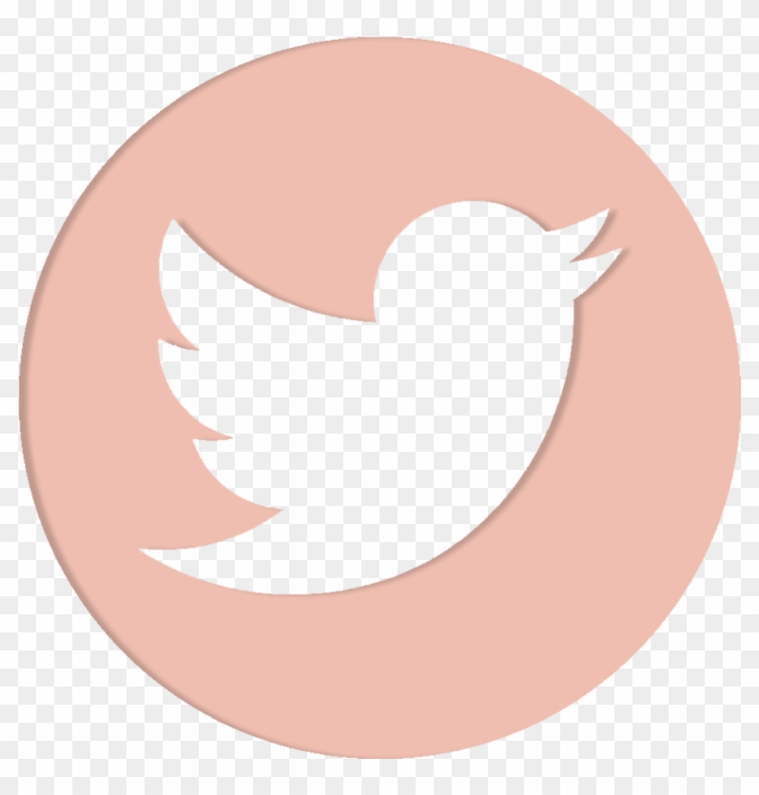 Transparent Twitter Logo Png Png Download 840x880 Transparent Twitter Logo Png Png Download