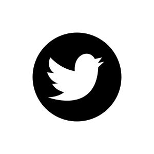 Twitter Icon 300x300 Twitter Icon