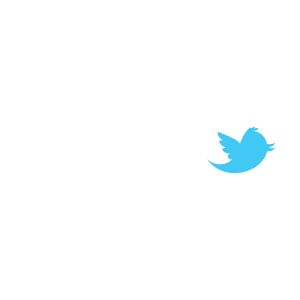 Twitter Logo Vector 300x300 Twitter Logo Vector