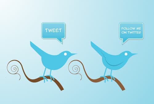 Freebies Twitter Icons For Your Blog 500x338 Freebies Twitter Icons For Your Blog