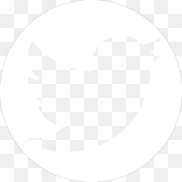 260x260 Twitter Png White Images