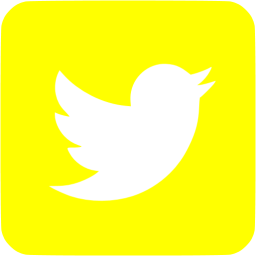 256x256 Yellow Twitter Icon