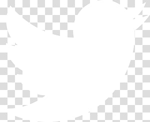 300x244 Flat Gray Icons, Twitter, Black Bird Transparent Background Png