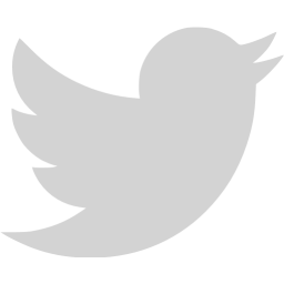 256x256 Light Gray Twitter Icon