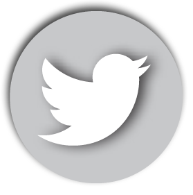 279x281 Grey Twitter Icon Images