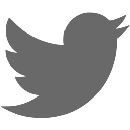 256x256 Dim Gray Twitter Icon
