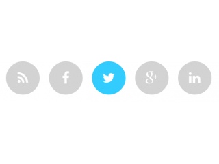 Bootstrap Snippet Spinning Social Icons Using Html Css Bootstrap 320x240 Bootstrap Snippet Spinning Social Icons Using Html Css Bootstrap