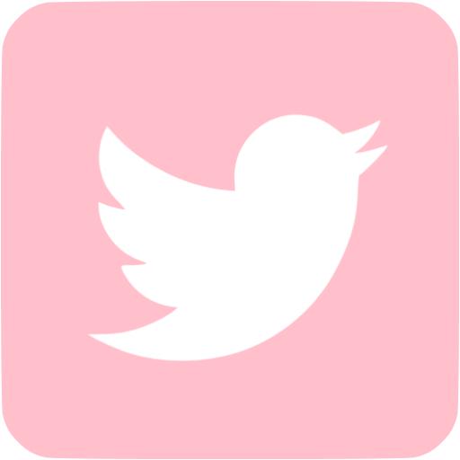 512x512 Pink Twitter Icon