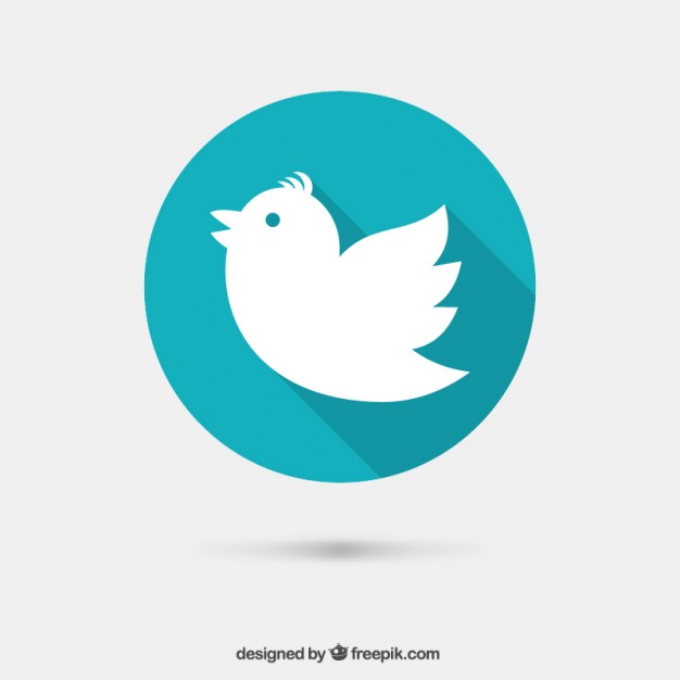 626x626 Bird Icon Vector Free Download