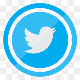 260x260 Twitter Icons Png Transparent Images