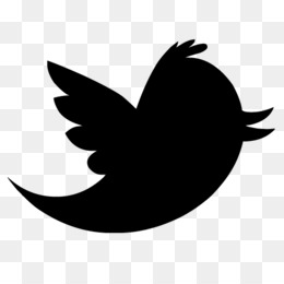 260x260 Twitter Bird Logo Png Transparent Background Images