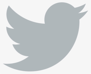 320x260 Twitter Logo Png, Transparent Twitter Logo Png Image Free Download