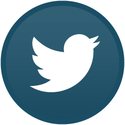 Twitter Icon 256x256 Twitter Icon