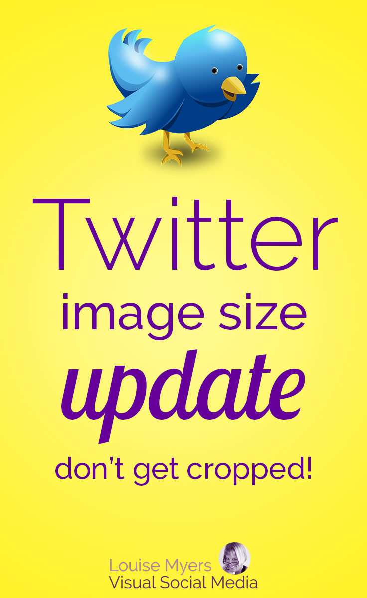 736x1200 Twitter Image Size And Specs This Is All You Need To Know