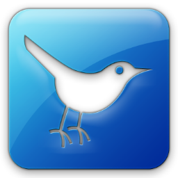 256x256 Twitter Bird Square Icon