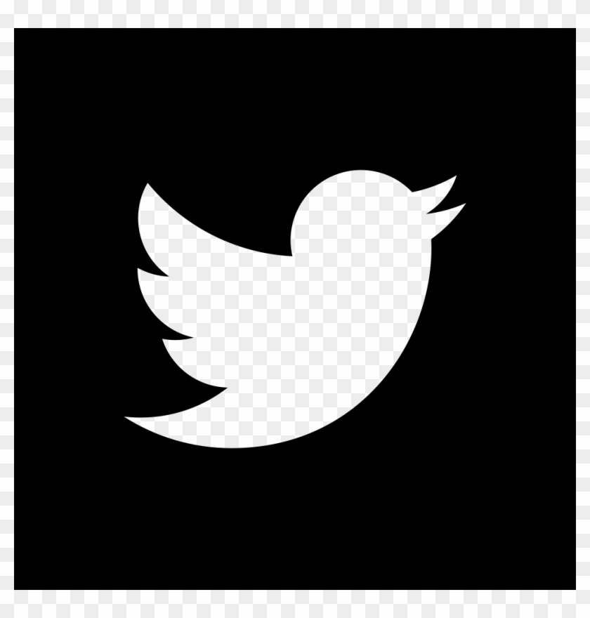 840x880 Twitter Square Logo Comments