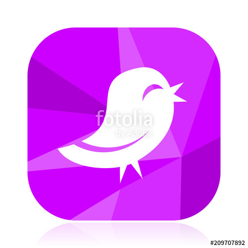 500x500 Twitter Violet Square Vector Web Icon Internet Design