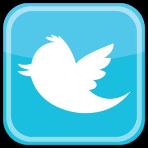 300x300 Dove Twitter Icon Sign O Vector Catchsplace