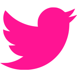 256x256 Pink Twitter Transparent Logo Png Images