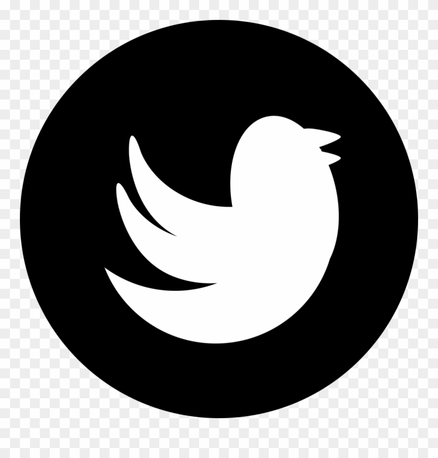 880x920 See Here New Twitter Logo Black And White Hd Images