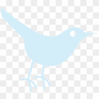 320x320 Twitter Icons Transparent Png Images, Free Transparent Image