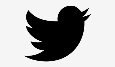 400x234 Result For Twitter Logo Icon Png