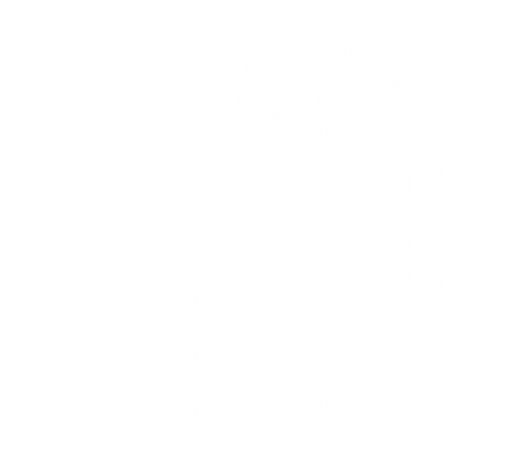 480x408 White Twitter Icon Transparent Background Background Download