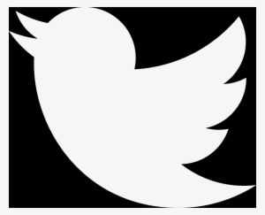 twitter logo transparent white