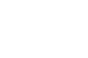 300x200 Twitter Icon White Png Images In Collection