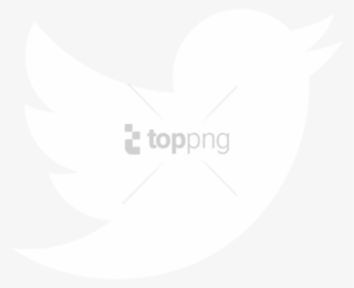 320x260 Twitter Png,  Transparent Twitter Png Image Free Download