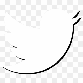 320x320 White Twitter Icon Png Images, Free Transparent Image Download