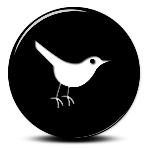 Twitter Link Icon
