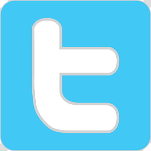 Twitter Logo Png Transparent Background Png Cliparts Free Download 300x300 Twitter Logo Png Transparent Background Png Cliparts Free Download