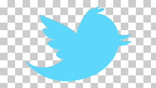 Twitter Logo Png Png Cliparts For Free Download Uihere 310x175 Twitter Logo Png Png Cliparts For Free Download Uihere