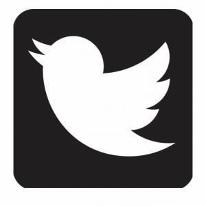 300x300 Htirtxitwitter Icon Black Twitter Icon Vector Black Catchsplace