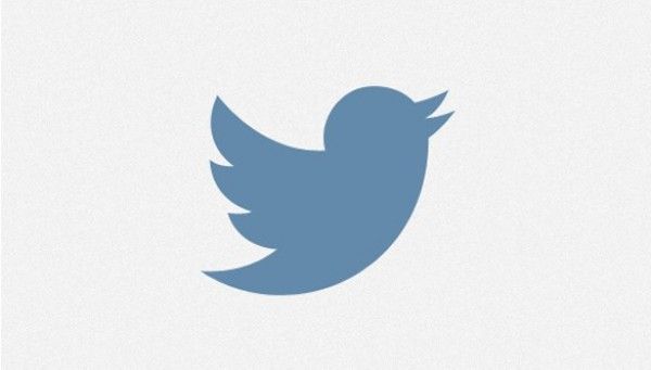 600x341 Dawnbrushes Bird Logos, New Twitter, Twitter Icon