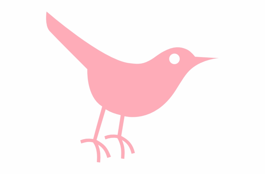 920x603 Twitter Bird Icon, Transparent Png Download For Free