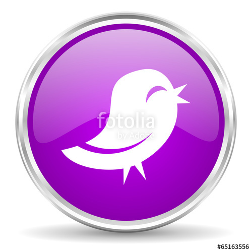 500x500 Twitter Pink Glossy Icon Stock Photo And Royalty Free Images