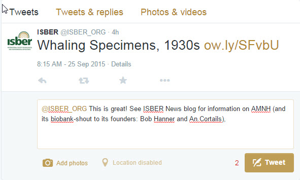591x355 Isber Newsletter Have You Joined The Isber Social Network Twitter