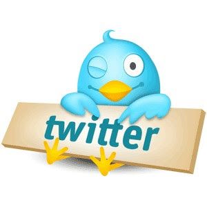 300x300 How To Add Twitter Link To Gmail Signature