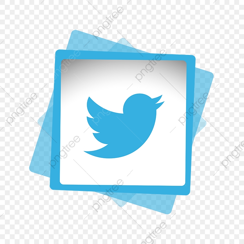 800x800 Twitter Social Media Icon, Twitter Logo, Twitter Vector, Twitter