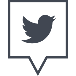256x256 Twitter Logo Icon Of Line Style