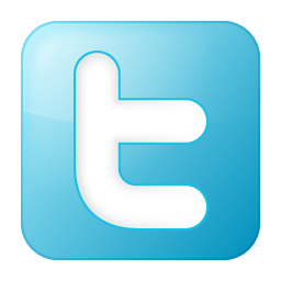 256x256 Social Twitter Box Blue Icon