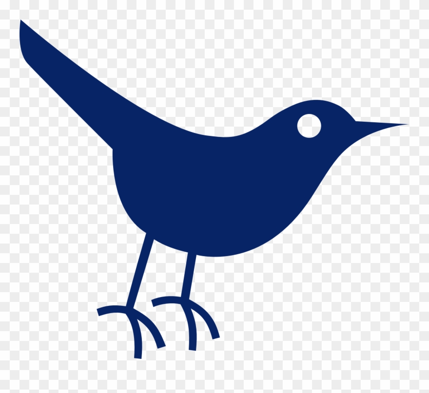 880x807 Twitter Bird Tweet Tweet