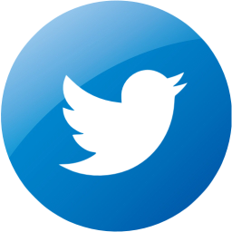 Twitter Web Icon